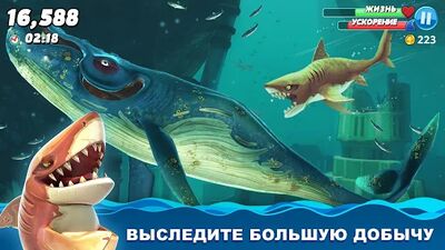 Скачать взломанную Hungry Shark World [Много денег] MOD apk на Андроид