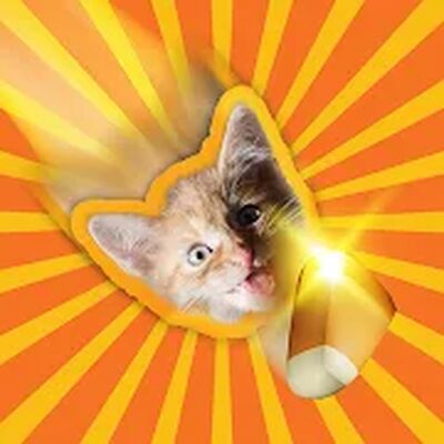 Скачать взломанную Candy Cat [Мод меню] MOD apk на Андроид