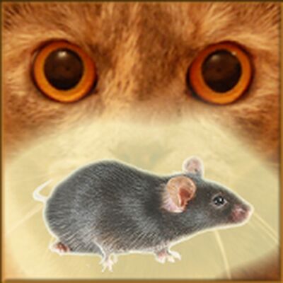 Скачать взломанную Мышь на экране для кота - Игры для кошек [Много денег] MOD apk на Андроид