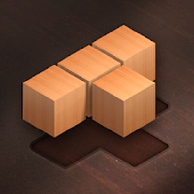Скачать взломанную Fill Wooden Block 8x8: Wood Block Puzzle Classic [Много денег] MOD apk на Андроид