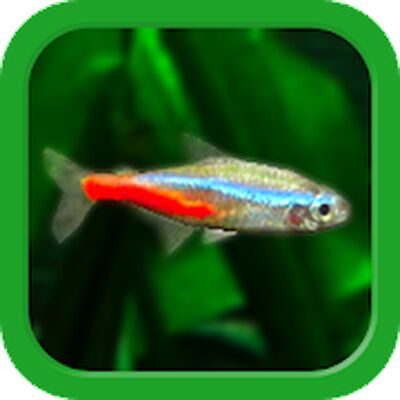 Скачать взломанную Tropical Fish Tank - Mini Aqua [Много денег] MOD apk на Андроид