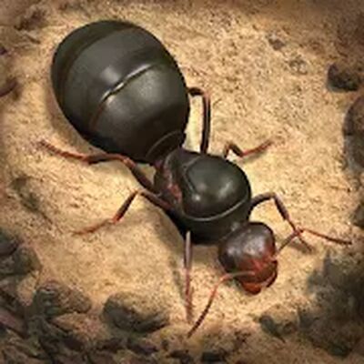 Скачать взломанную The Ants: Underground Kingdom [Мод меню] MOD apk на Андроид