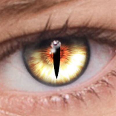 Скачать FoxEyes - Change Eye Color by Real Anime Style [Полная версия] RUS apk на Андроид