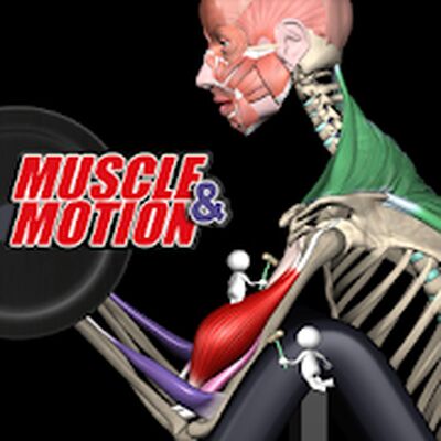 Скачать Силовые тренировки от Muscle & Motion [Premium] RU apk на Андроид