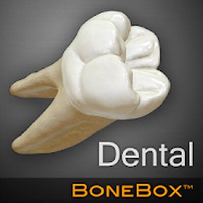 Скачать BoneBox™ - Dental Lite [Полная версия] RUS apk на Андроид