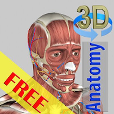 Скачать 3D Bones and Organs (Anatomy) [Unlocked] RUS apk на Андроид