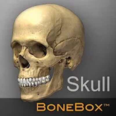 Скачать BoneBox™ - Skull Viewer [Без рекламы] RUS apk на Андроид