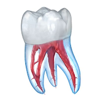 Скачать Стоматология - 3D иллюстрации для консультаций [Unlocked] RU apk на Андроид