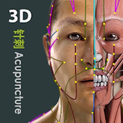 Скачать Visual Acupuncture 3D [Premium] RU apk на Андроид