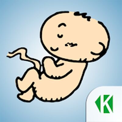 Скачать Беременность по неделям KLO [Premium] RU apk на Андроид