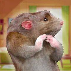 Скачать взломанную Rat Life - Survive & Build! [Мод меню] MOD apk на Андроид
