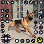 Скачать взломанную Собака Pet Husky Animal [Много монет] MOD apk на Андроид