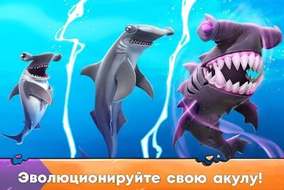 Скачать взломанную Hungry Shark Evolution: акула [Много денег] MOD apk на Андроид