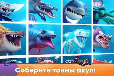 Скачать взломанную Hungry Shark Evolution: акула [Много денег] MOD apk на Андроид