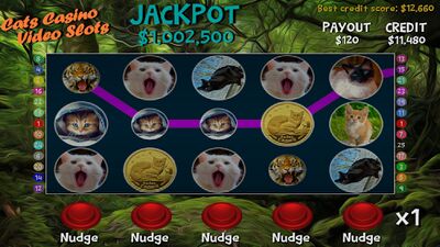 Скачать взломанную Cats Casino Video Slots [Много денег] MOD apk на Андроид