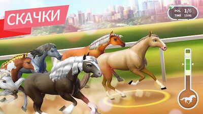 Скачать взломанную Horse Haven World Adventures [Бесплатные покупки] MOD apk на Андроид