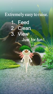 Скачать взломанную Axolotl Pet [Много денег] MOD apk на Андроид