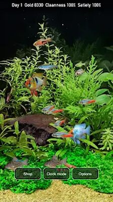 Скачать взломанную Tropical Fish Tank - Mini Aqua [Много денег] MOD apk на Андроид