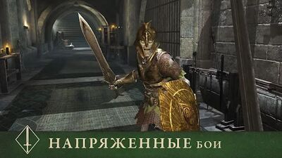 Скачать взломанную The Elder Scrolls: Blades [Много монет] MOD apk на Андроид