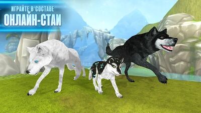 Скачать взломанную Wolf: The Evolution - Online RPG [Много монет] MOD apk на Андроид