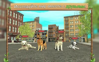 Скачать взломанную Симулятор Собаки Онлайн [Много монет] MOD apk на Андроид