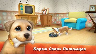 Скачать взломанную DogTown:собаки,игры,зоомагазин [Мод меню] MOD apk на Андроид