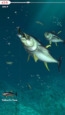 Скачать взломанную Rapala Fishing - Daily Catch [Много монет] MOD apk на Андроид