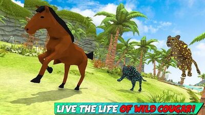 Скачать взломанную Wild Cougar Survival Sim 3D: New Animal Sim Games [Много монет] MOD apk на Андроид