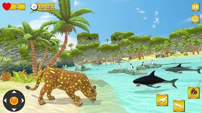 Скачать взломанную Wild Cougar Survival Sim 3D: New Animal Sim Games [Много монет] MOD apk на Андроид