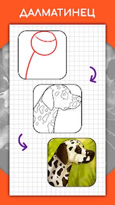 Скачать Как рисовать животных. Пошаговые уроки рисования [Без рекламы] RUS apk на Андроид