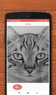 Скачать Как рисовать животных [Без рекламы] RU apk на Андроид