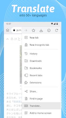 Скачать Kiwi Browser - Fast & Quiet [Unlocked] RU apk на Андроид
