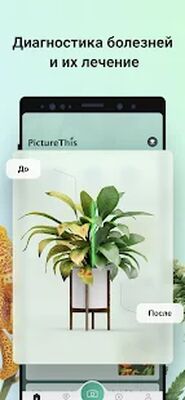 Скачать PictureThis растения признать [Без рекламы] RU apk на Андроид