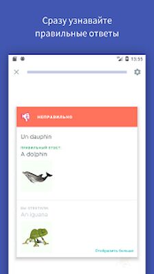 Скачать Quizlet: изучение языков и лексики [Unlocked] RUS apk на Андроид