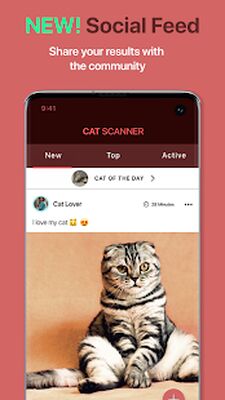 Скачать Cat Scanner [Без рекламы] RUS apk на Андроид