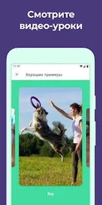 Скачать Дого - Дрессировка Собак [Полная версия] RU apk на Андроид