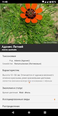 Скачать Flora Incognita - Определение растений [Unlocked] RUS apk на Андроид