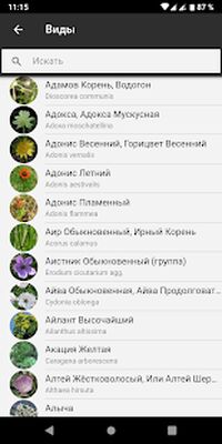 Скачать Flora Incognita - Определение растений [Unlocked] RUS apk на Андроид