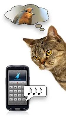 Скачать Кошачьи голоса - играй со своей кошкой! [Unlocked] RUS apk на Андроид
