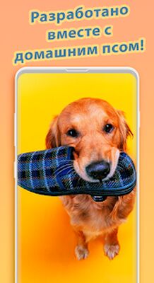 Скачать iDog:Собачий Переводчик [Premium] RU apk на Андроид