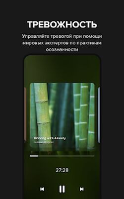 Скачать Insight Timer - Медитация, Сон [Без рекламы] RUS apk на Андроид