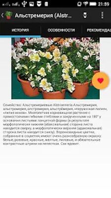Скачать Домашние Цветы [Unlocked] RU apk на Андроид