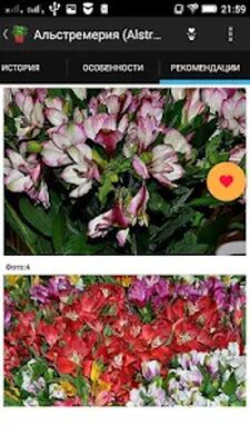 Скачать Домашние Цветы [Unlocked] RU apk на Андроид