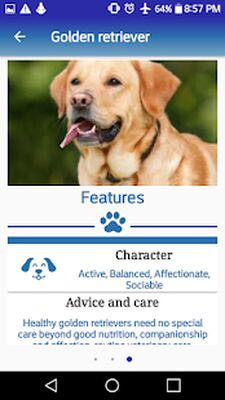 Скачать Dog in Home: Choose ideal dog [Полная версия] RUS apk на Андроид