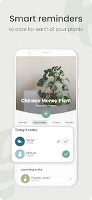 Скачать Planta - Keep your plants alive [Unlocked] RUS apk на Андроид