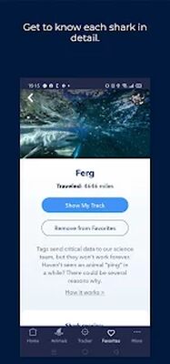 Скачать OCEARCH Shark Tracker [Premium] RUS apk на Андроид