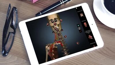 Скачать Anatomy Learning - 3D анатомический атлас [Без рекламы] RU apk на Андроид