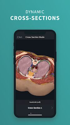 Скачать Complete Anatomy 2022 [Без рекламы] RUS apk на Андроид