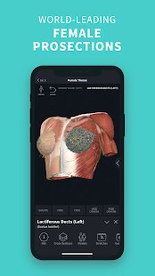 Скачать Complete Anatomy 2022 [Без рекламы] RUS apk на Андроид