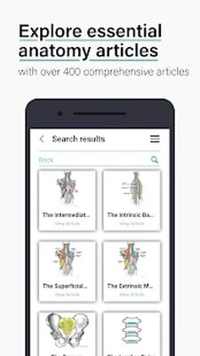 Скачать Teach Me Anatomy: 3D Human Body & Clinical Quizzes [Unlocked] RU apk на Андроид